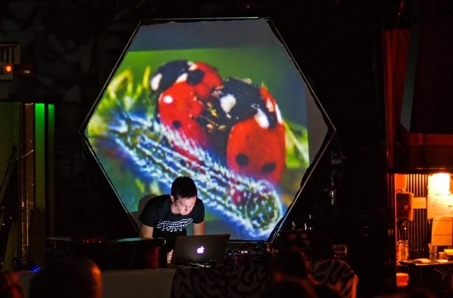 Cyrusrex at a laptop below a hexagonal screen of projected ladybirds, Denver, 2005