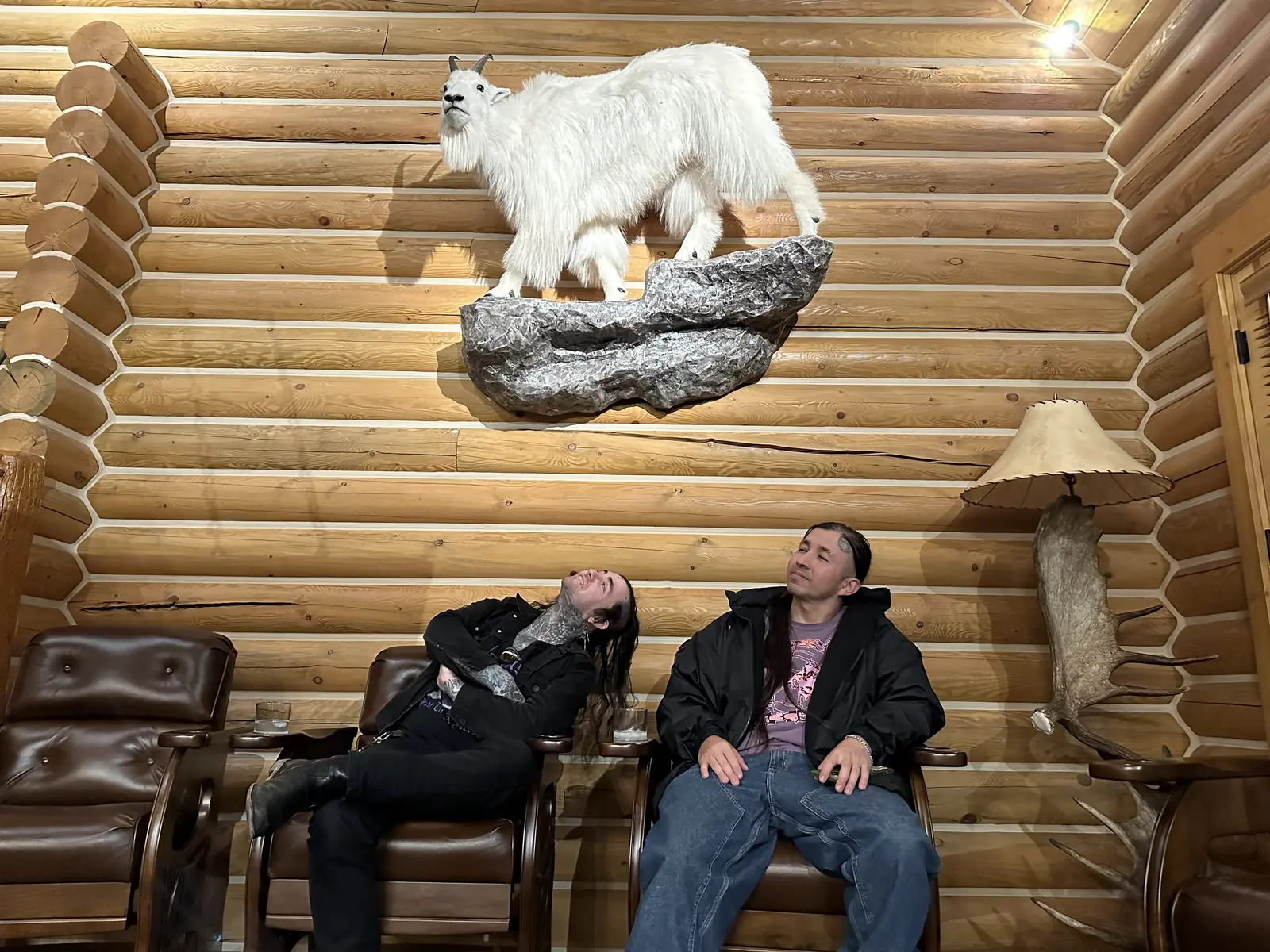 Two people in leather armchairs look up at a mounted mountain goat on a log wall, beside an antler lamp