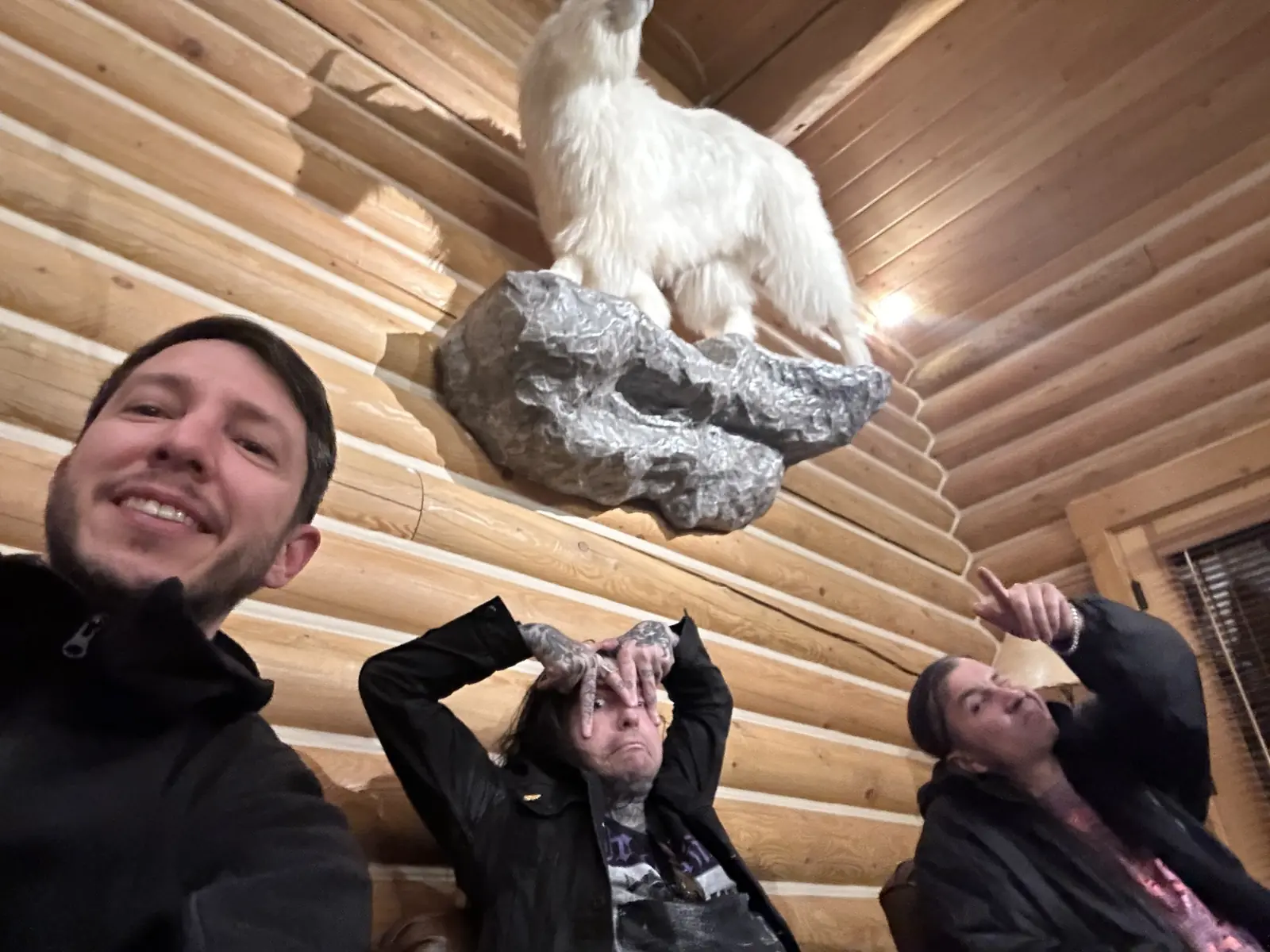 A selfie of three people in a log cabin, two of them pulling faces, beneath a mounted mountain goat